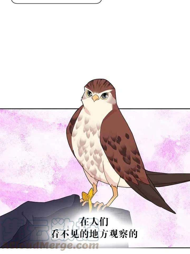 传令鸟公主殿下24话