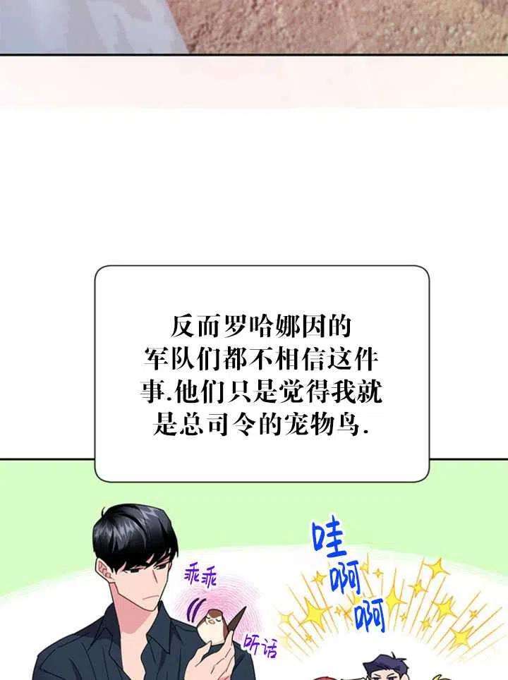 传令鸟公主殿下24话