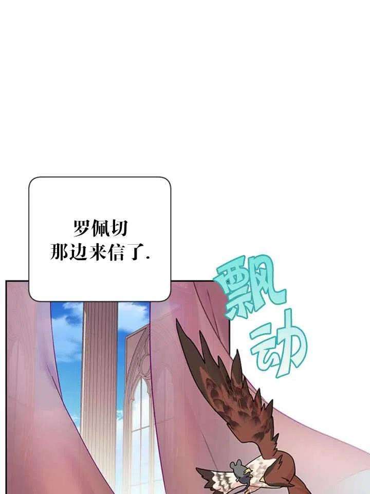 传令鸟公主殿下24话