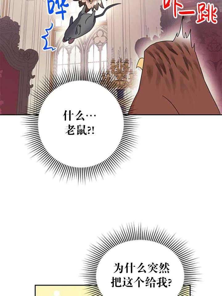 传令鸟公主殿下24话