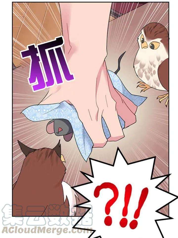 传令鸟公主殿下24话