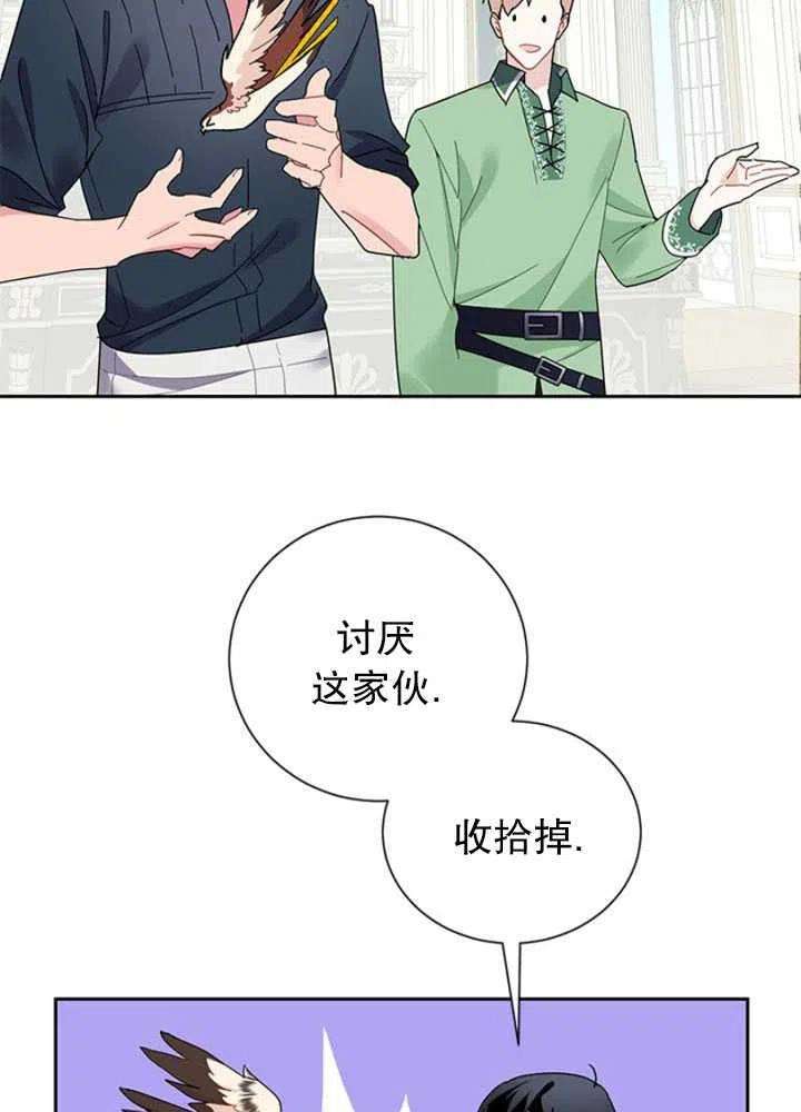 传令鸟公主殿下25话