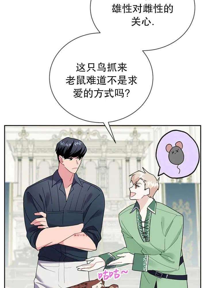 传令鸟公主殿下25话