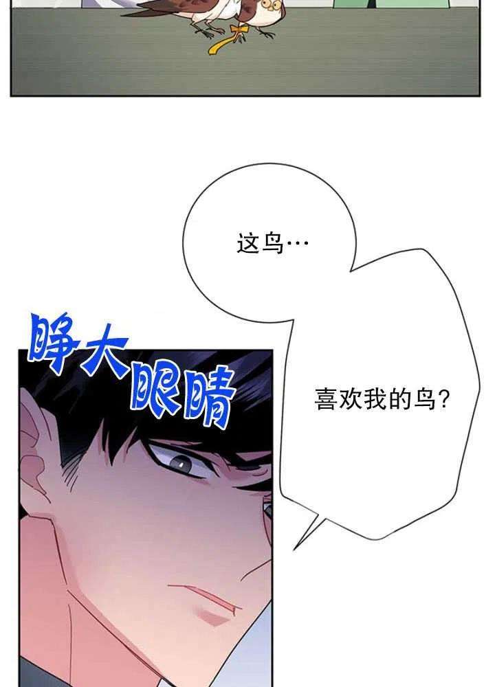 传令鸟公主殿下25话