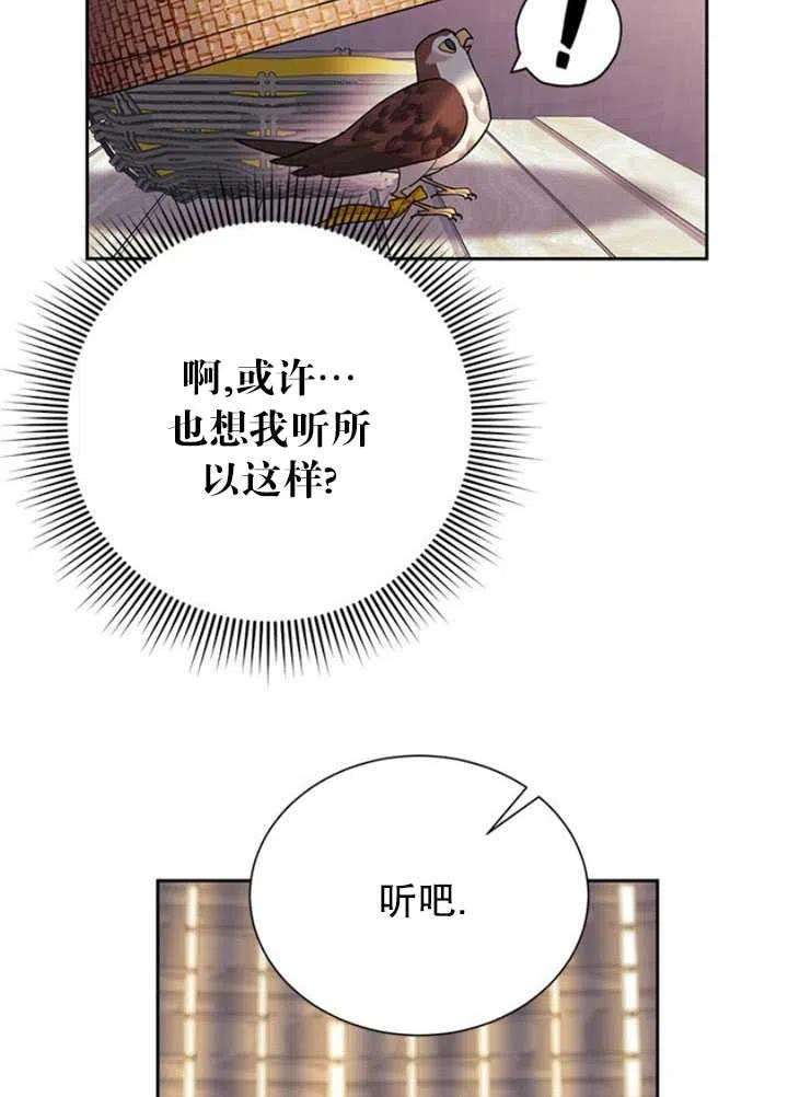 传令鸟公主殿下25话
