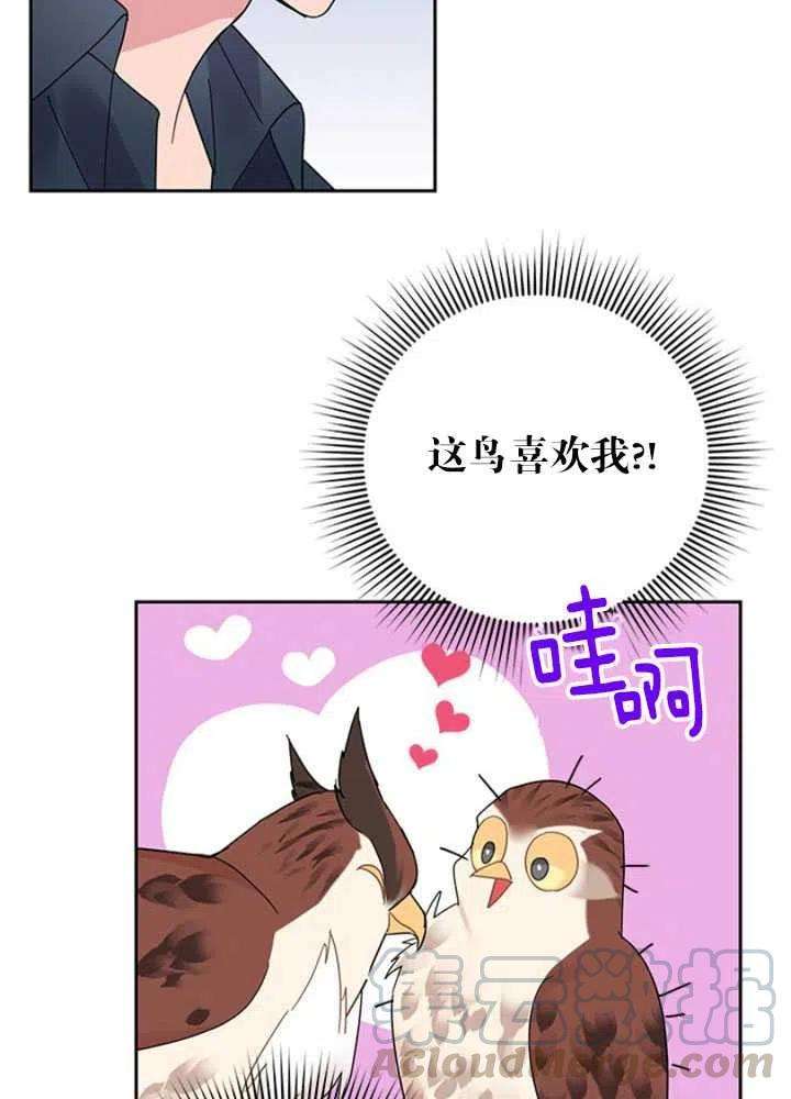 传令鸟公主殿下25话