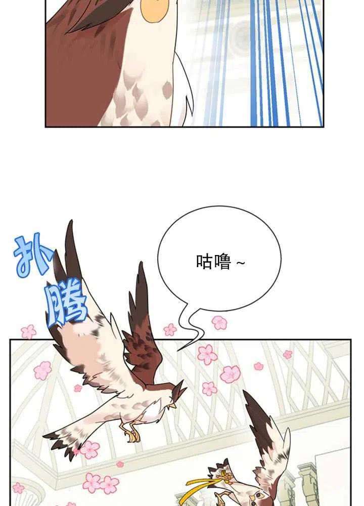 传令鸟公主殿下25话