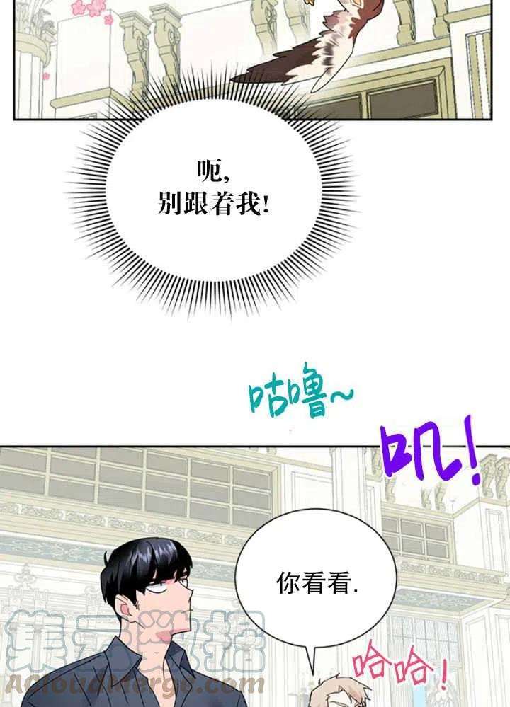 传令鸟公主殿下25话