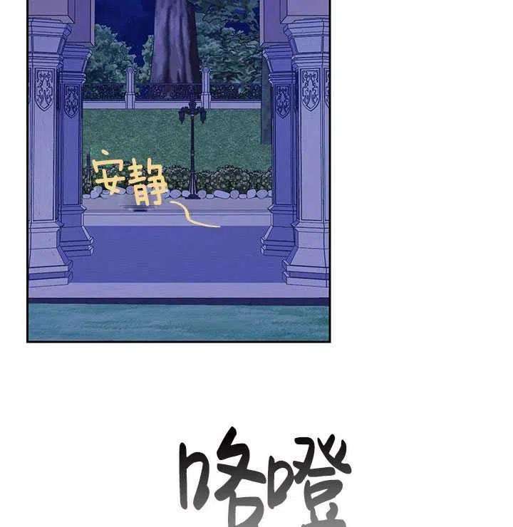 传令鸟公主殿下28话