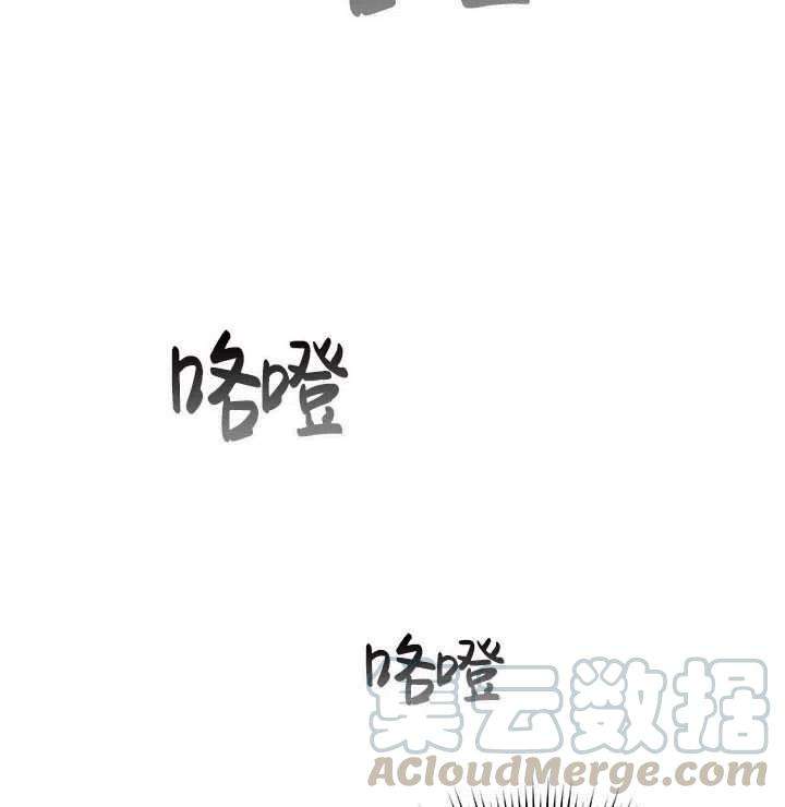 传令鸟公主殿下28话