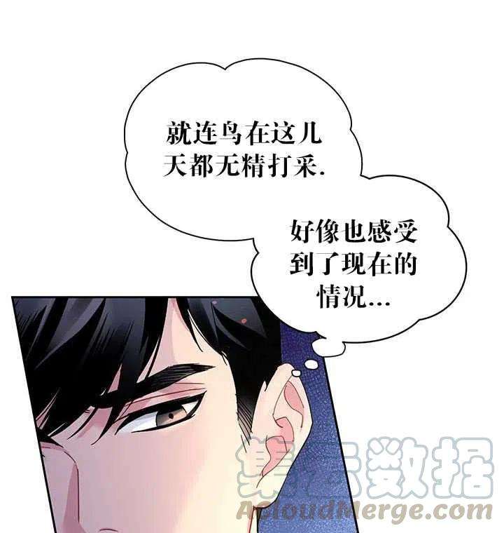 传令鸟公主殿下28话