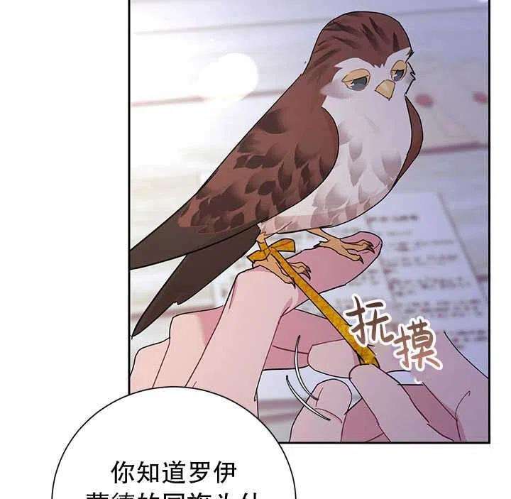 传令鸟公主殿下28话