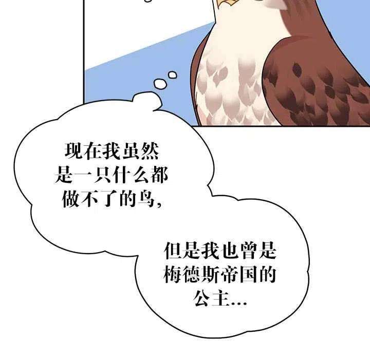 传令鸟公主殿下28话