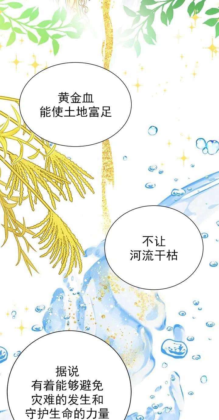 传令鸟公主殿下29话