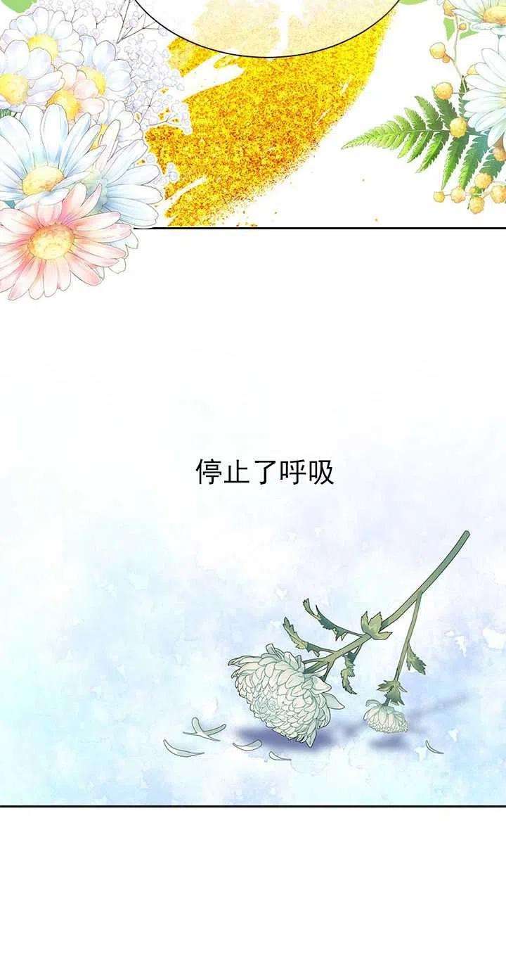 传令鸟公主殿下29话