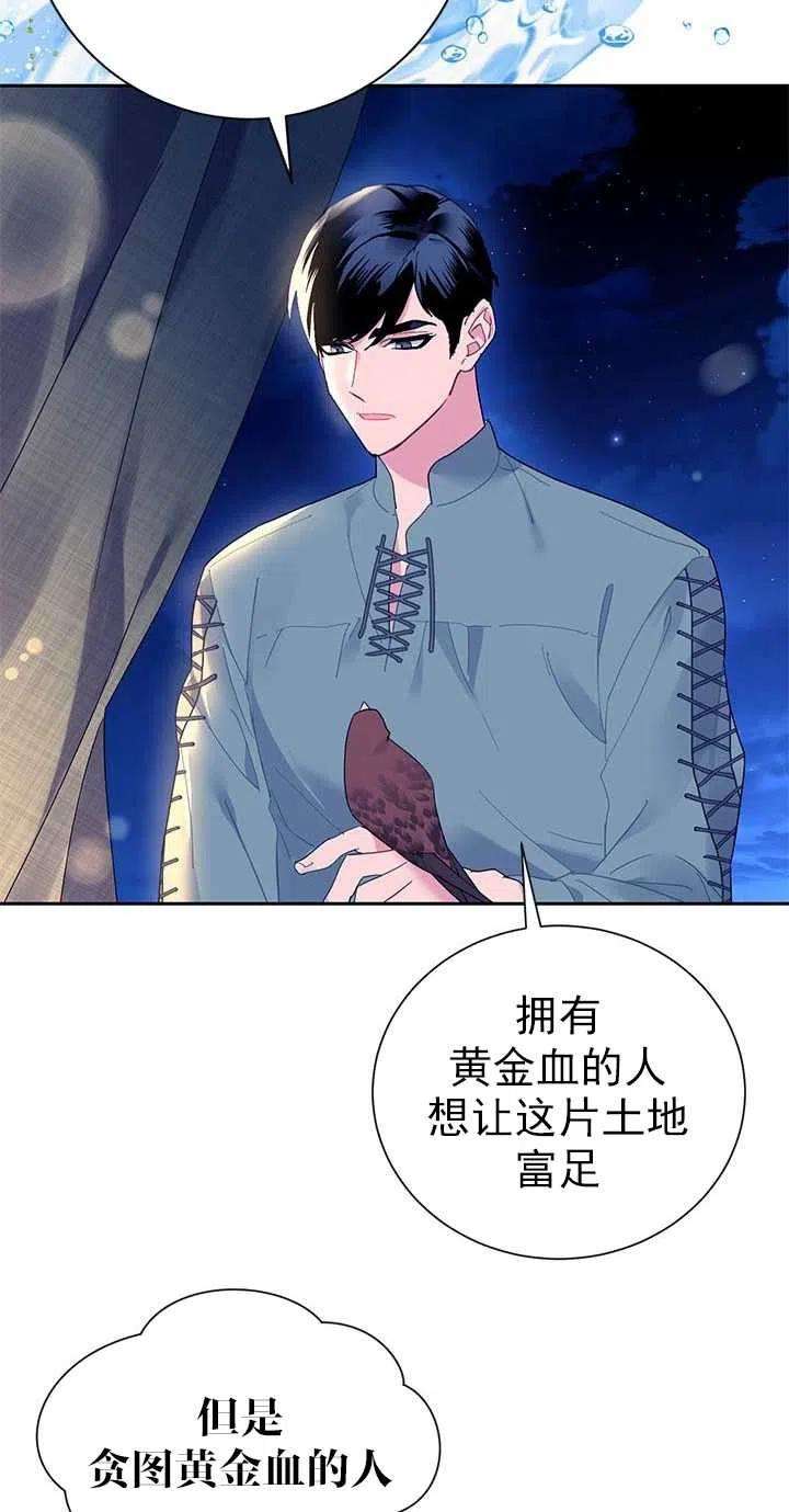 传令鸟公主殿下29话