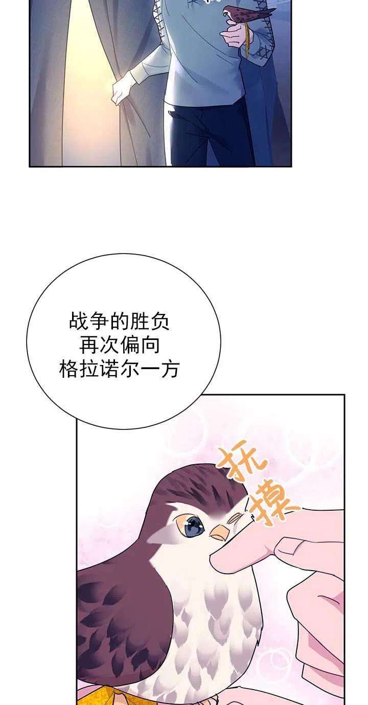 传令鸟公主殿下29话