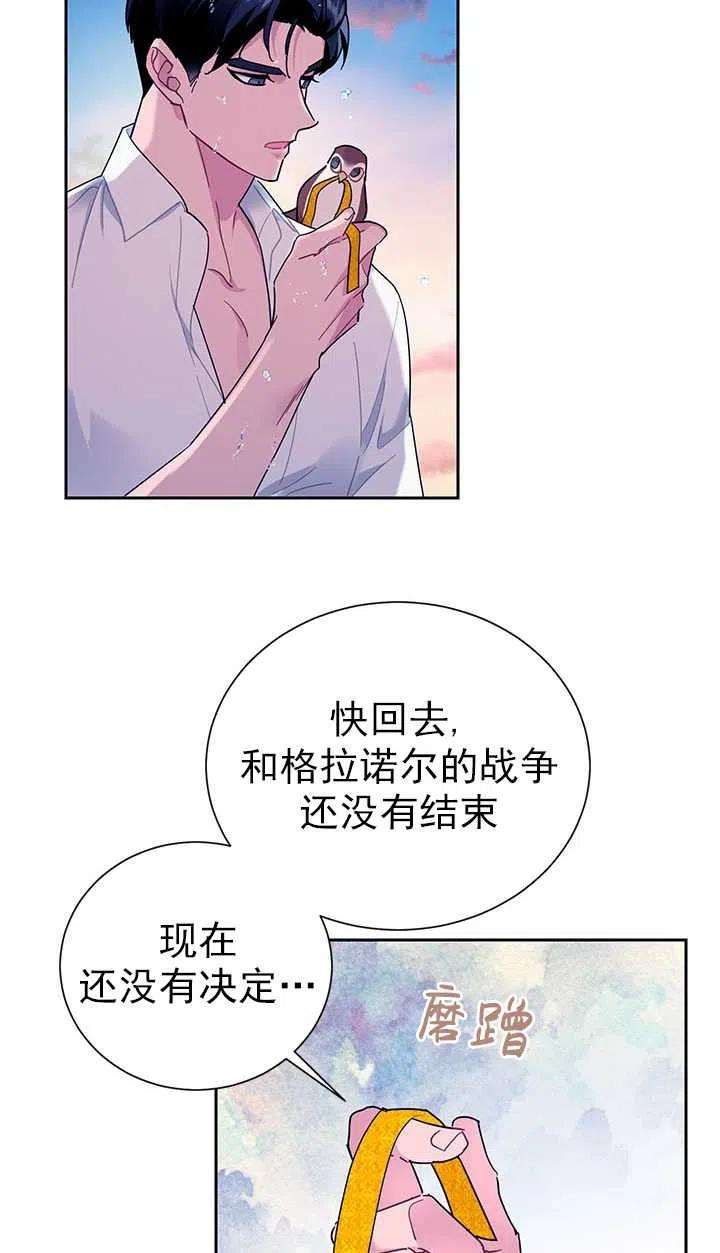 传令鸟公主殿下30话