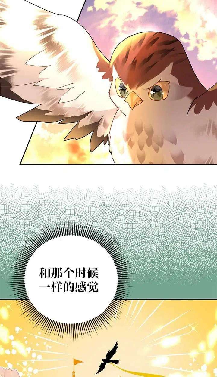 传令鸟公主殿下30话