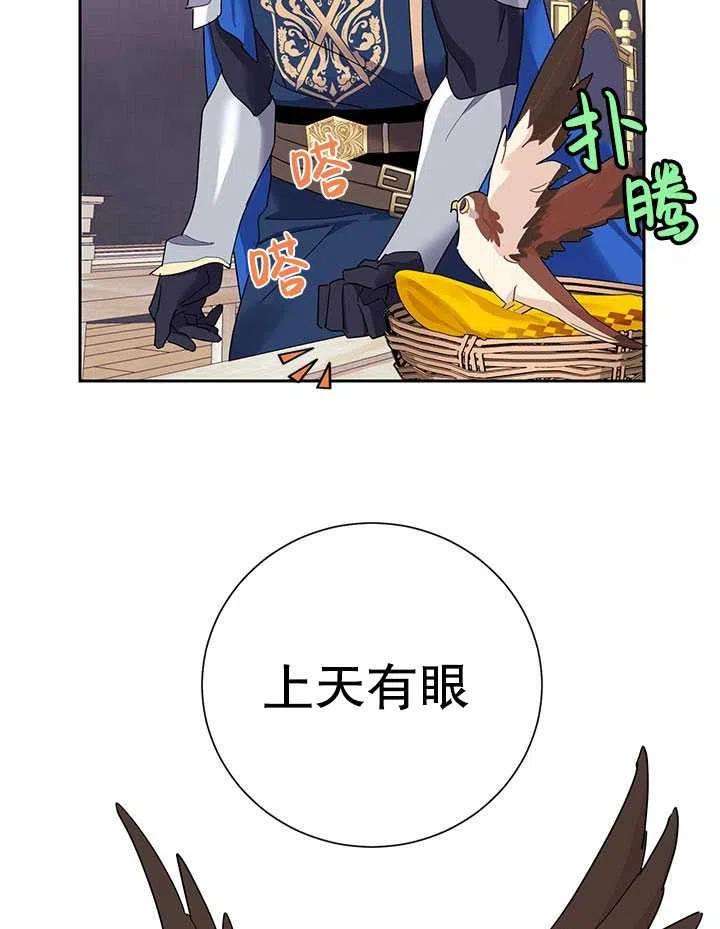 传令鸟公主殿下31话