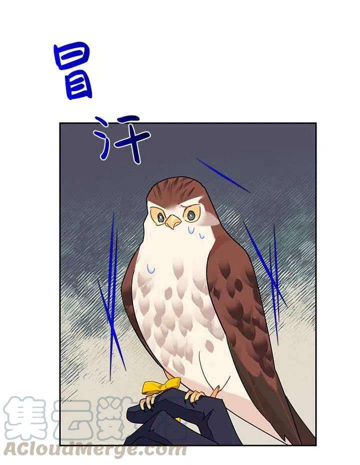 传令鸟公主殿下31话