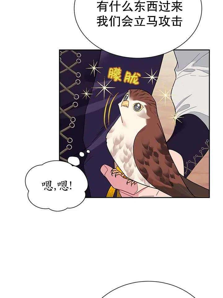 传令鸟公主殿下31话