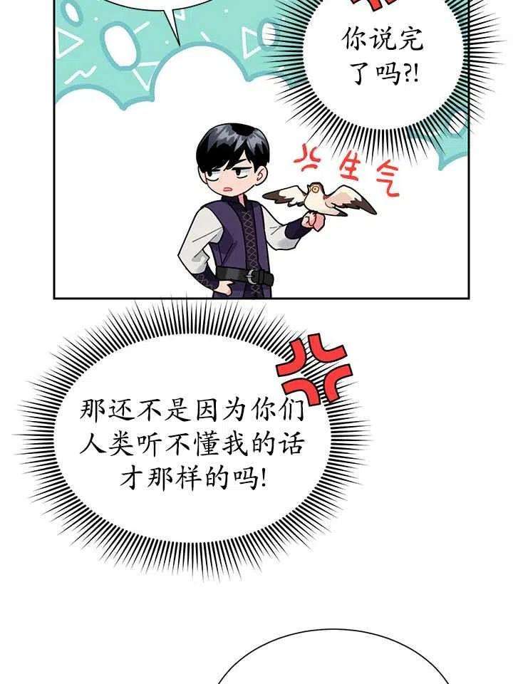 传令鸟公主殿下31话