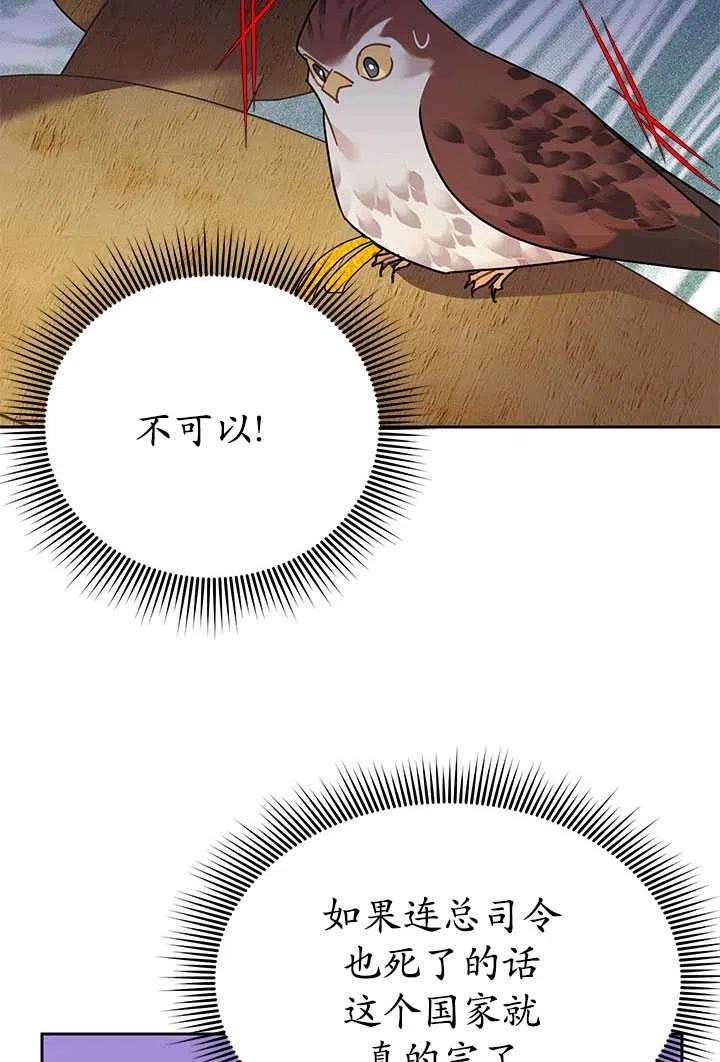 传令鸟公主殿下31话