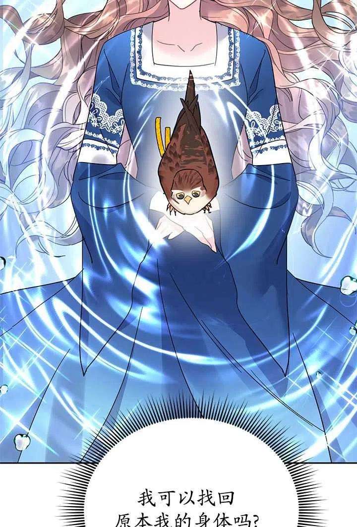 传令鸟公主殿下31话