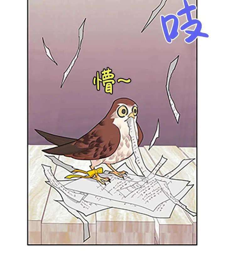 传令鸟公主殿下32话