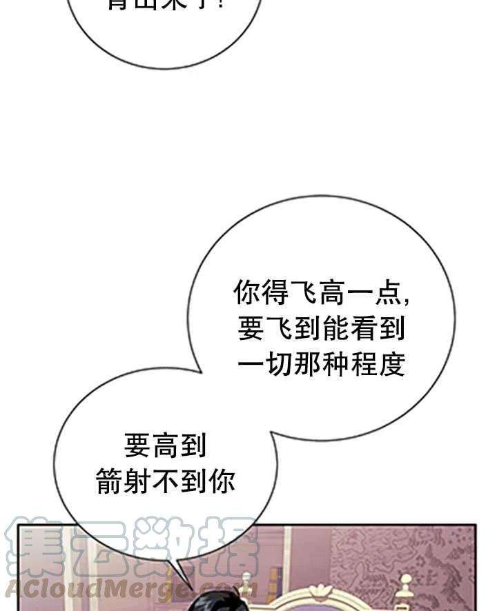 传令鸟公主殿下32话