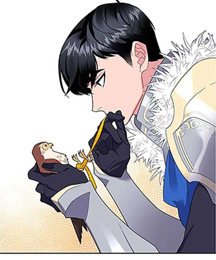 传令鸟公主殿下32话