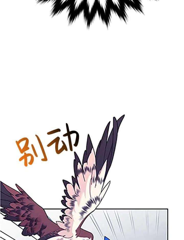 传令鸟公主殿下32话