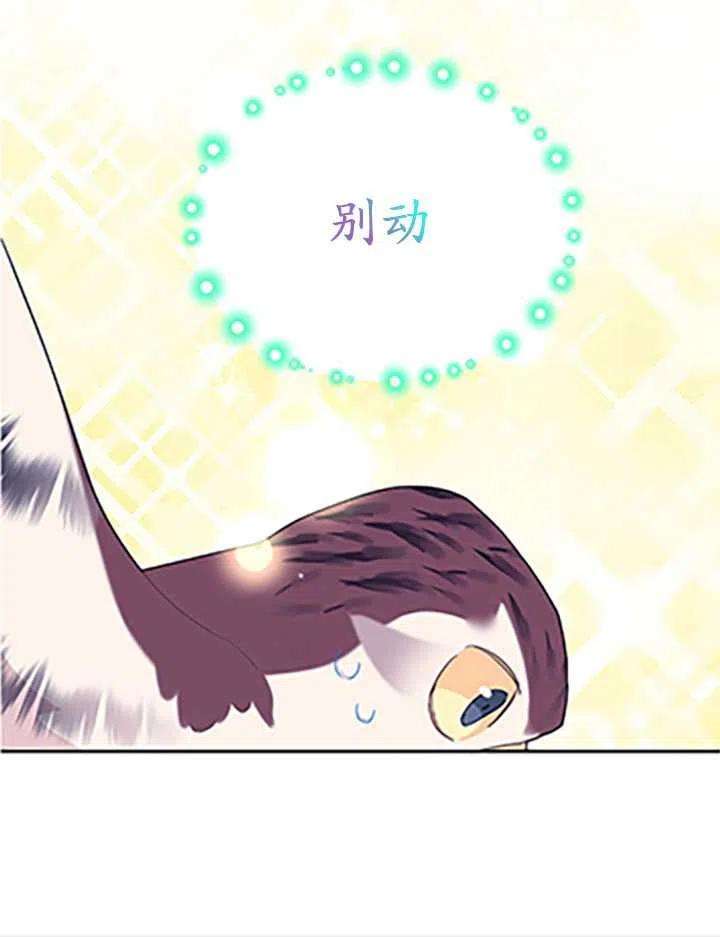 传令鸟公主殿下32话