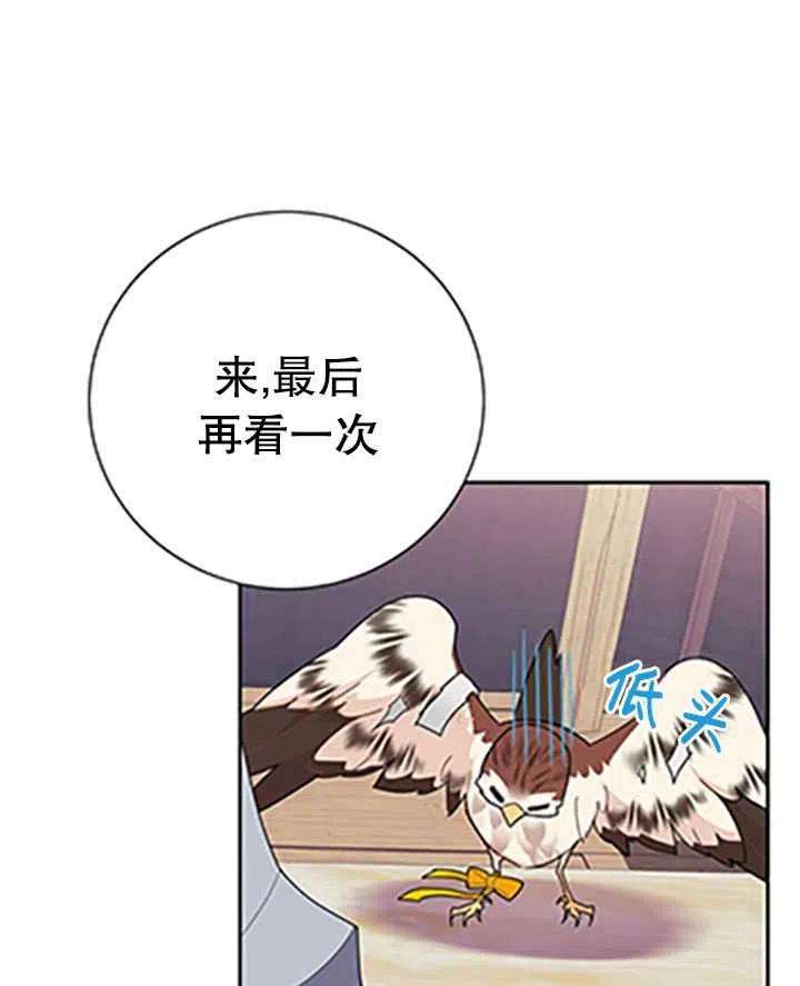 传令鸟公主殿下32话