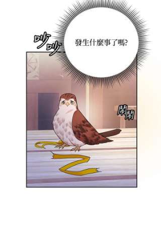 传令鸟公主殿下33话