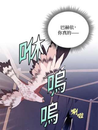 传令鸟公主殿下33话