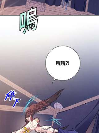 传令鸟公主殿下33话