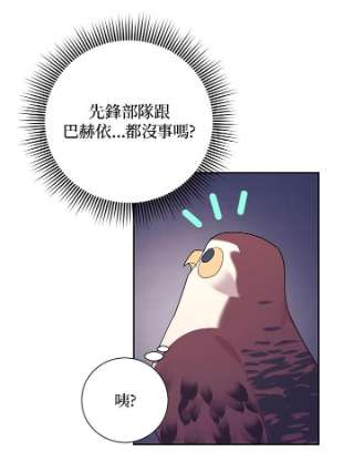 传令鸟公主殿下33话