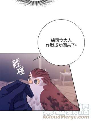 传令鸟公主殿下33话