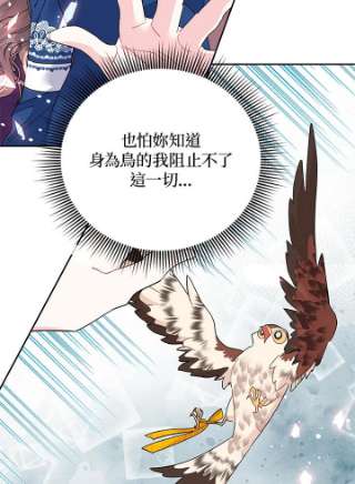 传令鸟公主殿下33话