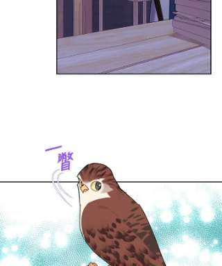 传令鸟公主殿下33话