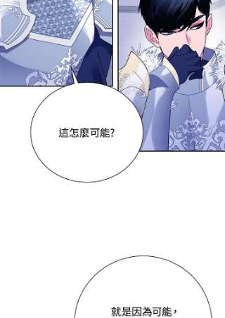 传令鸟公主殿下34话