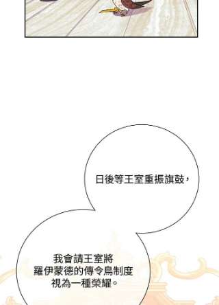 传令鸟公主殿下34话
