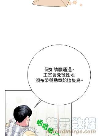 传令鸟公主殿下34话