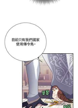 传令鸟公主殿下34话