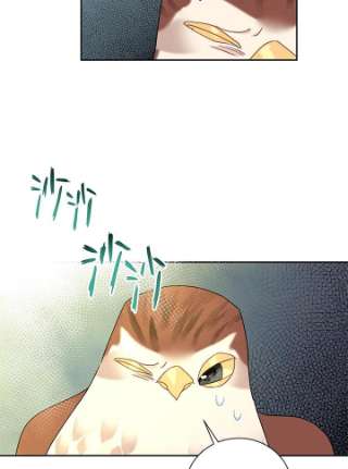 传令鸟公主殿下34话