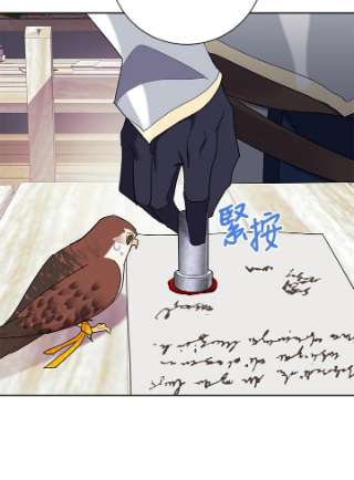 传令鸟公主殿下34话