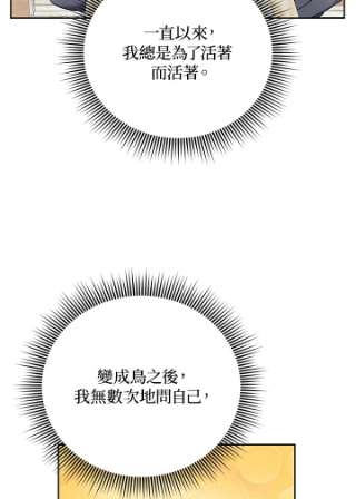传令鸟公主殿下34话