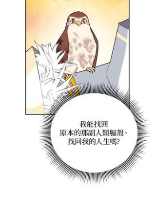 传令鸟公主殿下34话